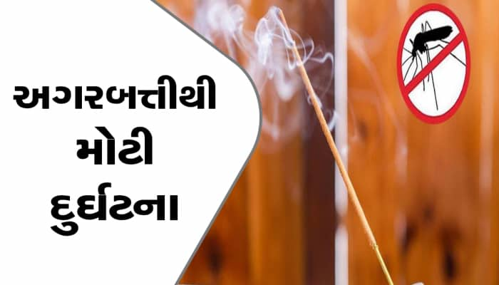 મચ્છર ભગાડનારી અગરબત્તીથી 6 લોકોના મોત, દિલ્હીના શાસ્ત્રી પાર્ક વિસ્તારમાં શુ બન્યું