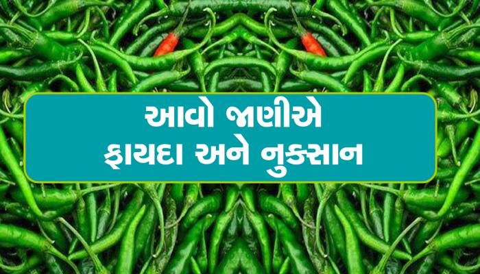 Health Tips: ભોજન સાથે સલાડમાં લીલા મરચાં ખાવા કેટલા યોગ્ય? જાણો શું કહે છે રિસર્ચ