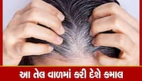 Oil For White Hair: આ દેશી તેલ કરશે કમાલ, સફેદ વાળ ફરી થઈ જશે કાળા