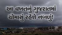 અંબાલાલ પટેલની માવઠા સાથે સૌથી 'ડરામણી' આગાહી, આ મહિનામાં વધી શકે છે સાપ કરડવાના કેસ