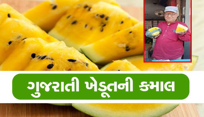 આ ગુજ્જુ ખેડૂતને કોઈ ન પહોંચી વળે, થાઈલેન્ડથી બીજ મંગાવી ખેતીમાં નવો ચીલો ચાતર્યો