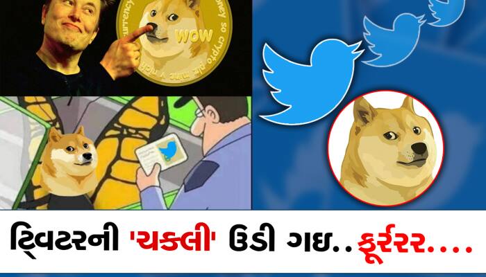 એલન મસ્કે યૂઝર્સને આપી સરપ્રાઇઝ, ટ્વિટરના ઇતિહાસમાં કર્યો સૌથી મોટો ફેરફાર