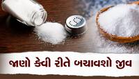 WHO Report: મીઠું બની રહ્યું છે સાયલન્ટ કિલર, 70 લાખ લોકોના જીવ જોખમમાં