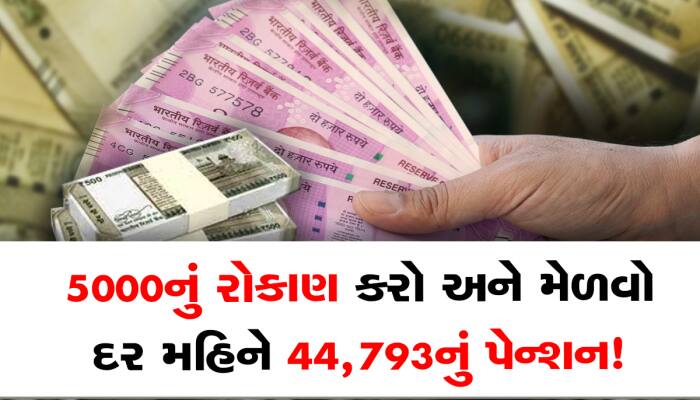 NPS:₹5000નું કરો રોકાણ અને ₹1 કરોડ 11 લાખ 98 હજાર 471 મેળવો, દર મહિને ₹44,793નું મળશ