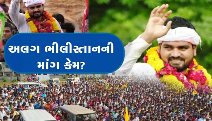 અલગ ભીલીસ્તાનની માંગ કેમ? આપ ધારાસભ્ય ચૈતર વસાવાએ આપ્યા તેના અનેક કારણ 