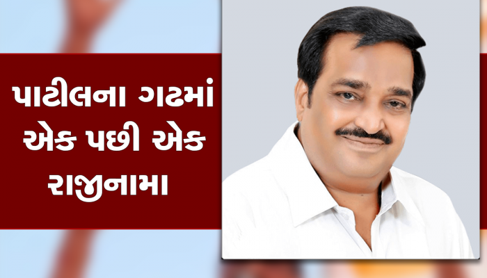 પાટીલના ગઢના કાંગરા ખરી રહ્યાં છે, ડાંગમાં ઢગલાબંધ નેતાઓના રાજીનામા પડતા સમીકરણો બદલાયા