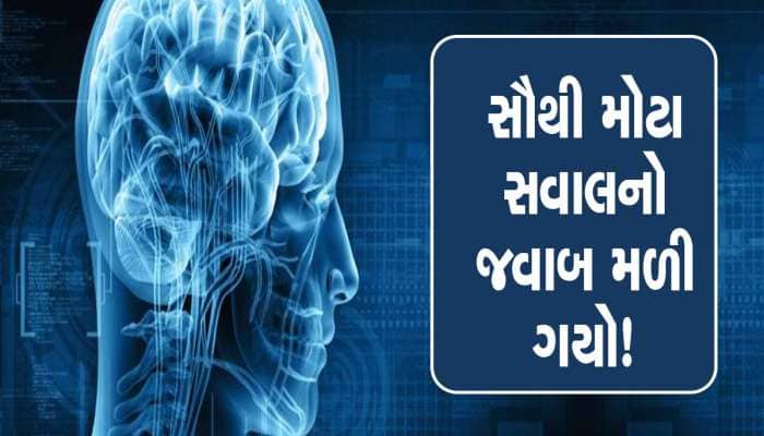 સ્ત્રીઓનું મગજ તેજ હોય ​​છે કે પુરુષોનું? રિસર્ચમાં થયો મોટો ખુલાસો..તમે પણ જાણી લો