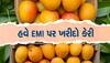 Mango on EMI: ઘર-ગાડી નહીં હવે EMI પર મળી રહી છે કેરી, મેંગોની મજા લો અને હપ્તે કરો ચુકવણી