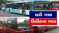 Ticket Fare: સીનિયર સિટીજન્સને બલ્લે-બલ્લે, હવે અડધા ભાડામાં કરી શકશે મુસાફરી