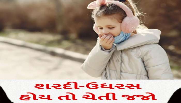 Health Care Tips: બાળકોને ખાંસી-ઉધરસ હોય તો ચેતજો, અપનાવો આ અકસીર ઉપાય