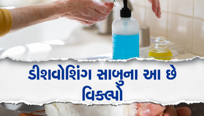 વાસણ ધોવાનો સાબુ અચાનક પૂરો થઈ ગયો? ચિંતા ન કરો, રસોડામાં રહેલા સામાનથી તમારુ કામ સરળ બની જશે