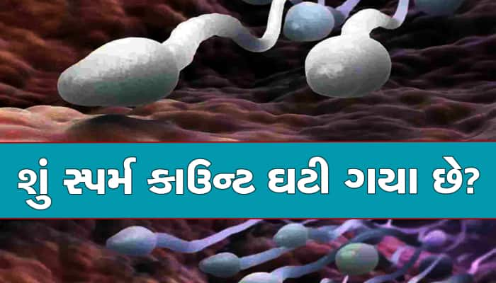 સ્પર્મ કાઉન્ટ ઘટી જાય તો શું કરવું? સ્પર્મ પતલું થઈ જાય તો તકલીફ પડે? જાણો ઈલાજ