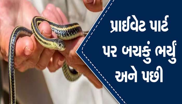 OMG! પ્રાઈવેટ પાર્ટના રસ્તે પેટમાં ઘૂસી ગયો સાપ? ડોક્ટર પર ચોંકી ગયા...પણ હકીકત જાણી દંગ રહી જશો