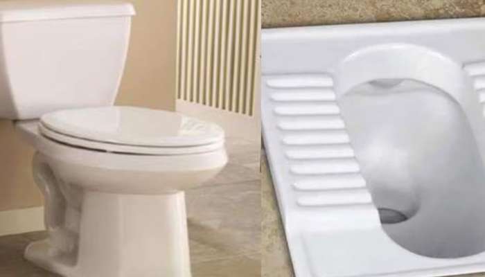 કંફ્યૂઝન કરો દૂર! Indian toilet કે Western toilet બંનેમાંથી કયું સૌથી બેસ્ટ, આ છે જવાબ