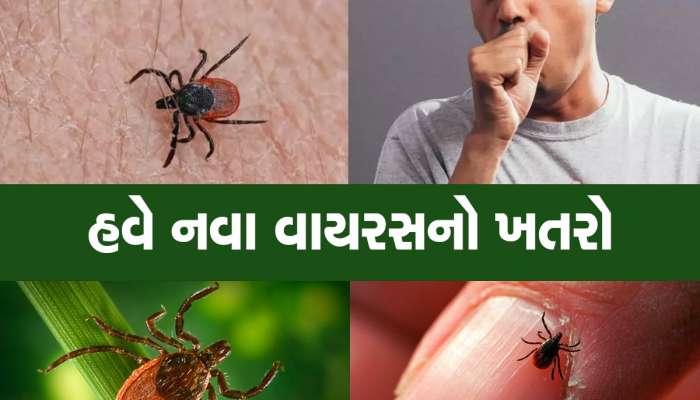 શું છે Tick Virus? જેના એક જ કેસથી યુકેમાં ફફડાટ વ્યાપી ગયો, જાણો બચાવ અને લક્ષણો