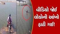 નદીમાં મોટરબોટની જેમ પાણીમાં સડસડાટ દોડાવ્યું પલ્સર, VIDEO વાયુવેગે વાયરલ