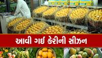 ભારતમાં આટલા પ્રકારની મળે છે કેરીઓ, નામ પાછળ એક રસપ્રદ કહાની