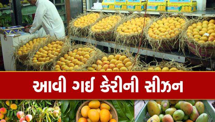 ભારતમાં આટલા પ્રકારની મળે છે કેરીઓ, નામ પાછળ એક રસપ્રદ કહાની