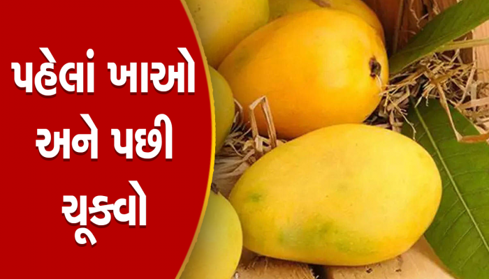 ઓહ!!! ગજબની ઓફર: હવે માત્ર ઘર અને કાર જ નહીં પણ EMI પર કેરી મળશે
