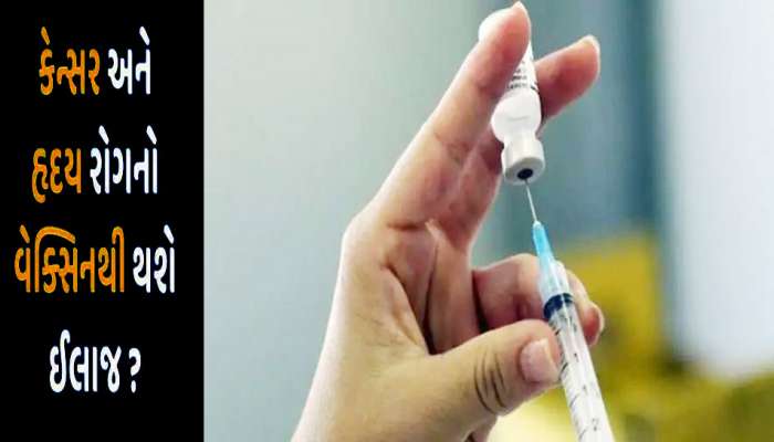 Vaccine for Cancer: હવે માત્ર રસીથી બચાવી શકાશે કેન્સર અને હાર્ટના દર્દીનો જીવ, નિષ્ણાતોનો દાવો