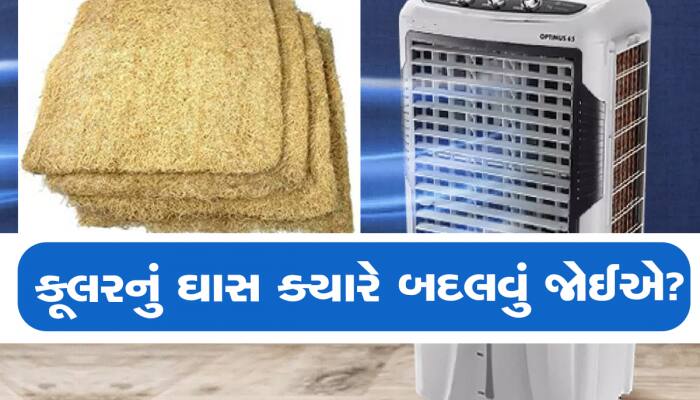 આટલા સમયમાં કોઈ પણ સંજોગોમાં બદલી દેવું જોઈએ કુલરનું ઘાસ