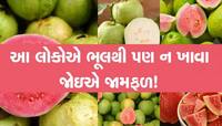 સાચવજો! સ્વાદના ચટાકા સ્વાસ્થ્યને પડશે ભારે, ભૂલથી પણ જામફળ ખાવાનું જોખમ ના લેતા