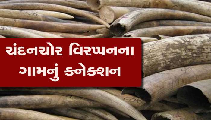 Elephant Teeth Trafficking: ચંદનચોર વિરપ્પનના ગામમાં રહેતા 4 આરોપીઓ એના કરતાં પણ ઉસ્તાદ નીકળ્યા, સૌથી મોટા કાંડમાં ફસાયા