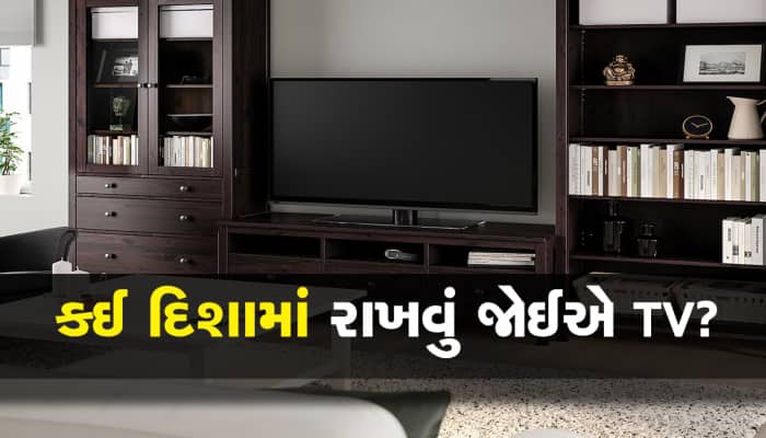 Vastu Tips:આ દિશામાં રાખો તમારા ઘરનું  TV, હંમેશા રહેશે સુખ-સમૃદ્ધિ અને બરકત