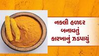 આંતરડાને ચીરી નાંખે એવી વસ્તુમાંથી હળદર બનતી, નડિયાદમાંથી ઝડપાયું મોટું રેકેટ 