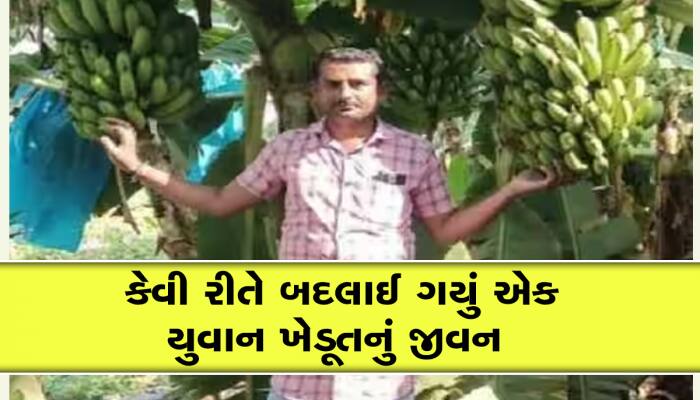 દર મહિને ખેડૂત કરવા લાગ્યો લાખોની કમાણી: કેળા-તરબૂચે યુવાનને બનાવ્યો પ્રગતિશીલ ખેડૂત