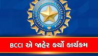 BCCI એ કરી જાહેરાત, વર્ષ 2023-24 માટે ભારતીય ક્રિકેટનું શેડ્યૂલ જાહેર કર્યું