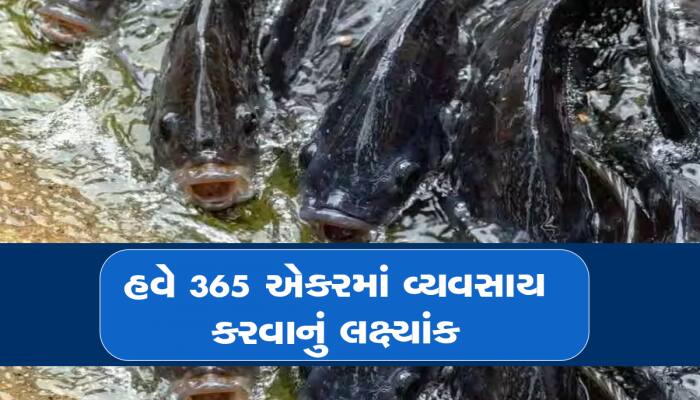 14 વર્ષ નોકરી કર્યા પછી શરૂ કર્યો આ વ્યવસાય, હવે વાર્ષિક 2.5 કરોડનો બિઝનેસ કરે છે...