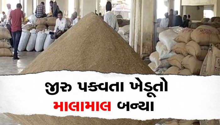 જીરું પકવનારા ખેડૂતોની ઝોળીમાં આવી મોટી ખુશી, માલામાલ થઈને માર્કેટયાર્ડથી ઘરે ગયા 