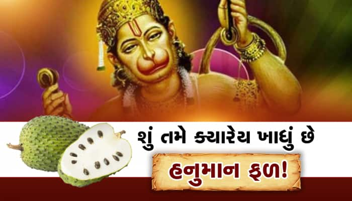 સીતાફળ-રામફળની જેમ હનુમાન ફળ પણ આવે છે! આ ફળ ખાનારને નથી પડતી દવા-દારૂની જરૂર