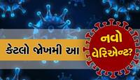 દેશના 13 રાજ્યોમાં જોવા મળ્યો કોરોનાનો નવો વેરિએન્ટ, જાણો કેટલો છે ખતરનાક