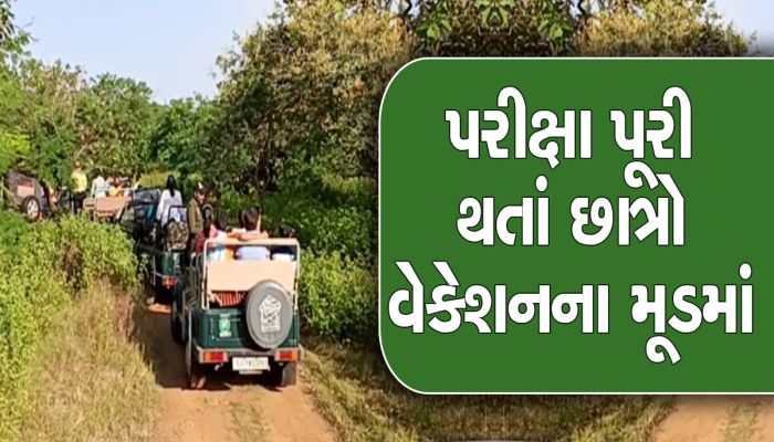 ઉનાળું વેકેશનમાં ગુજરાતીઓ ફરવા ઉપડ્યા, જાણો સૌથી વધુ ક્યાં જોવા મળી રહ્યો છે ટૂરિસ્ટોનો ઘસારો
