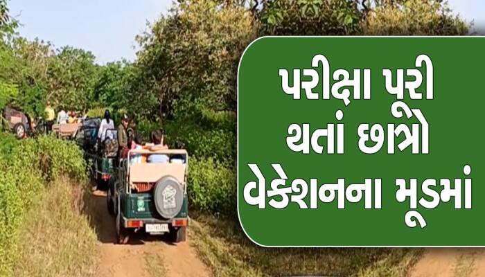 વેકેશનમાં ગુજરાતીઓ ફરવા ઉપડ્યા, જાણો સૌથી વધુ ક્યાં જોવા મળી રહ્યો છે ટૂરિસ્ટ