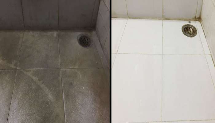Cleaning Tips: જીવલેણ સાબિત થઈ શકે છે બાથરૂમની ગંદી ટાઈલ્સ.. આ રીતે મિનિટોમાં કરો સાફ