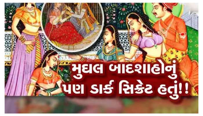 શાહજહાંની પુત્રીની ડાયરીમાં હરમના રહસ્યો ખુલ્યા! જીનની જેમ અદૃશ્ય થઈ જતી છોકરીઓ