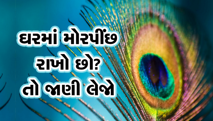Morpankh: ઘરમાં આ જગ્યાએ મૂકી દો મોરપીંછ અને પછી જોવો ચમત્કાર, તમામ પરેશાનીઓ થઈ જશે દૂર