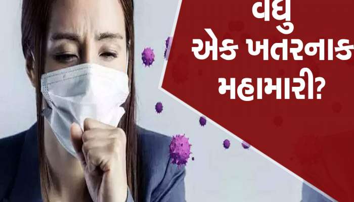 New Pandemic: કોવિડ-19 જેવી જીવલેણ બીમારી ઘાત લગાવીને બેઠી છે! જલદી જોવા મળશે 'મોતનું તાંડવ'
