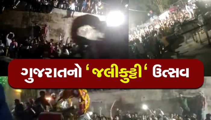 દૈવીશક્તિનો પરચો બતાવતો ગુજરાતનો અનોખો ઉત્સવ, વાલમની ગલીઓમાં દોડ્યા બળદ