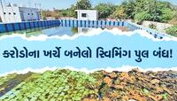 બોટાદમાં નવો નક્કોર સ્વિમિંગ પુલ ખાઈ રહ્યો છે ધૂળ;હવે શહેરીજનોને સતાવી રહ્યો છે આ ભય
