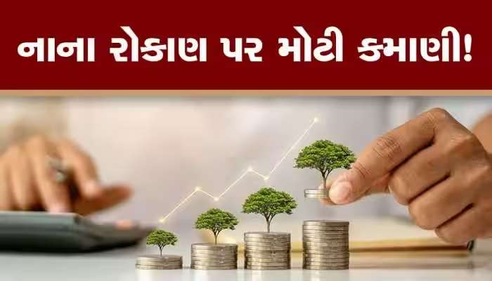 Regular Income Schemes:લોન્ગ ટર્મના આ વિકલ્પોમાં કરો ઇન્વેસ્ટમેન્ટ, તમને જોખમ વિના થશે ભરપૂર કમાણી!