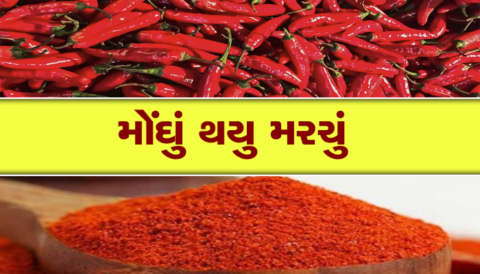 મોંઘુ થયું ગુજરાતીઓના ઘરે ઘરે ભરાતું ફેવરિટ જોટાણાનું મરચું, આ વર્ષે આટલે પહોંચ્યો ભાવ