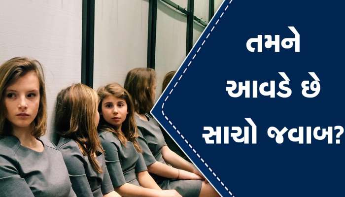 Mirror Optical Illusion: આ તસવીરમાં કેટલી છોકરીઓ છે? કોઈને ચાર દેખાય છે તો કોઈને 14