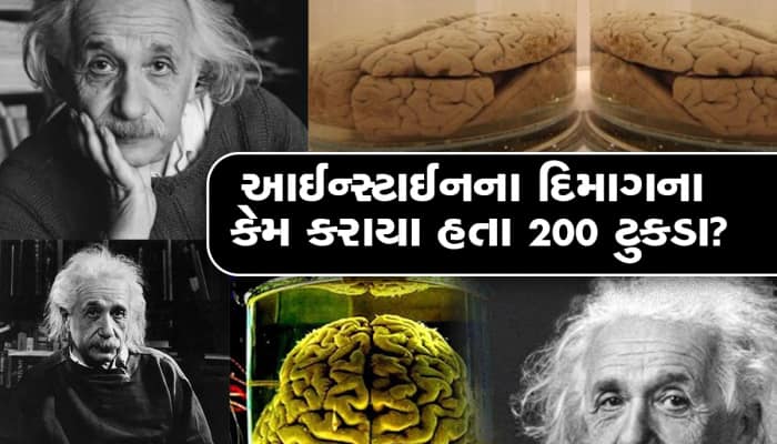 Albert Einstein Death Anniversary:આલ્બર્ટ આઈન્સ્ટાઈનના મૃત્યુ બાદ તેમનું દિમાગ કોણે 