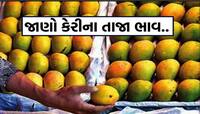 કેરીના શોખીનોને મોજ-એ-દરિયા! કેરીના ભાવમાં ધરખમ ઘટાડો થતા લેવા માટે પડાપડી