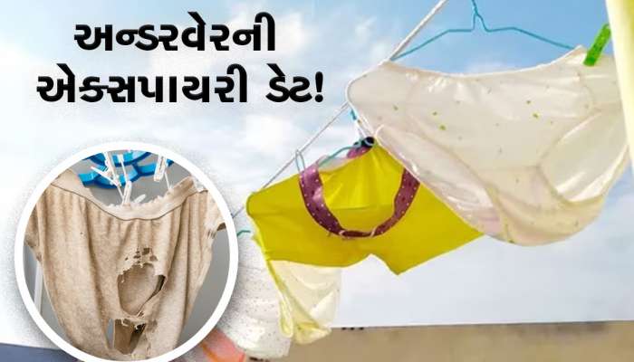 Undergarment Expiry: શું અન્ડરવેરની પણ હોય છે એક્સપાયરી ડેટ? જાણો ક્યાં સુધી કરવો જોઈએ ઉપયોગ