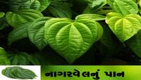 ના ગમતી વસ્તુઓને તમારા જીવનમાંથી દૂર કરશે નાગરવેલનું પાન! ટોટકો જાણીને રહી જશે દંગ